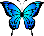 butterfly-2028591_1280[1].png